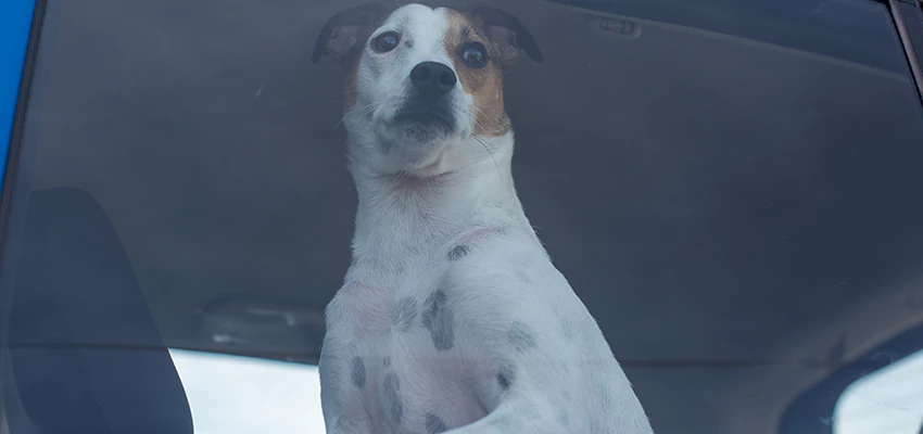 Car Lockout Solutions in Daly City, California